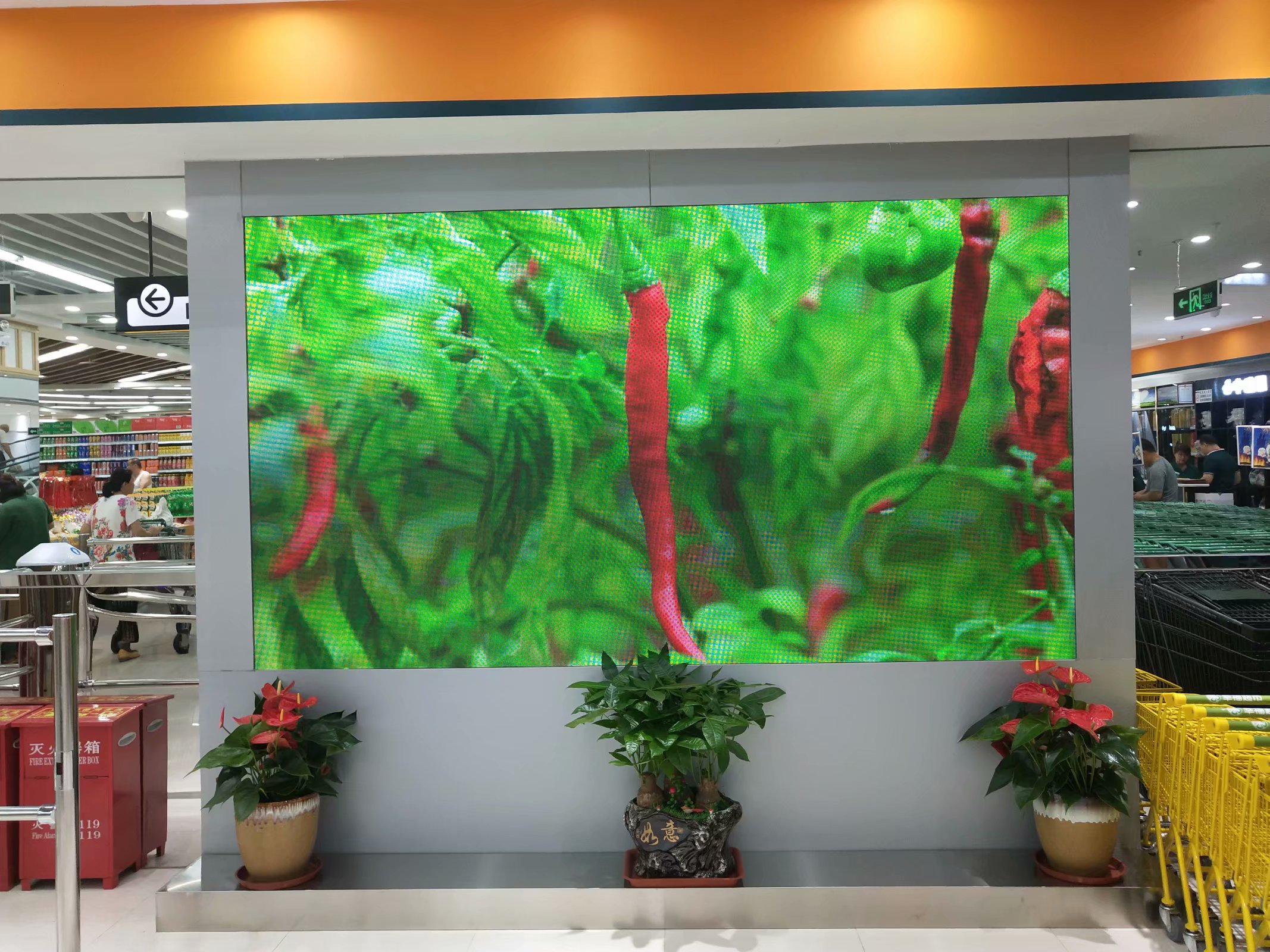 <a href=http://www.zhushasp.com target=_blank class=infotextkey>led顯示屏</a>